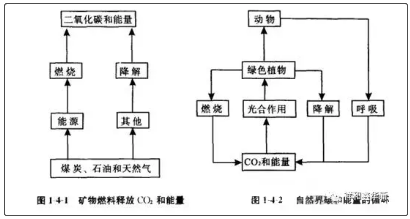 鑫华新：生物质专用炉具助力“碳中和”2