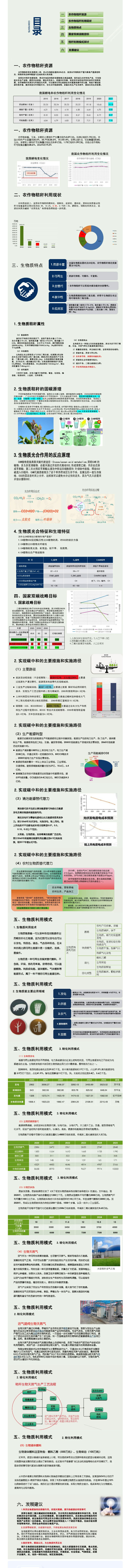 双碳目标下发展生物质的重要作用