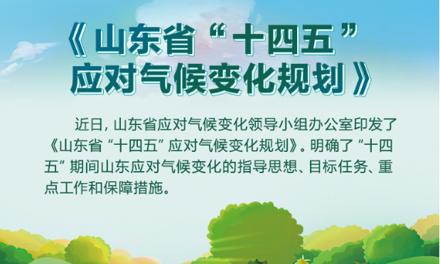 大力发展清洁低碳能源，实施可再生能源倍增行动