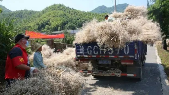 秸秆经过加工变成了生物质燃料