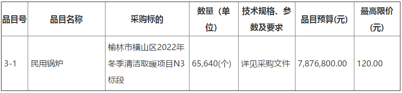 榆林市横山区2022年冬季清洁取暖民用锅炉197584(个)项目3