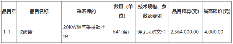 四标段20KW燃气采暖壁挂炉