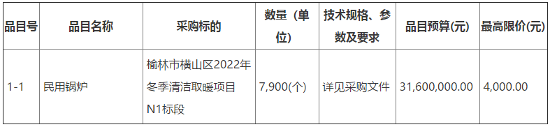 榆林市横山区2022年冬季清洁取暖民用锅炉197584(个)项目1