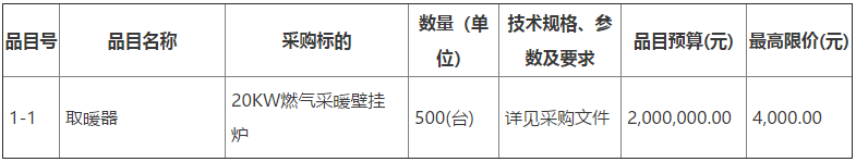 一标段20KW燃气采暖壁挂炉