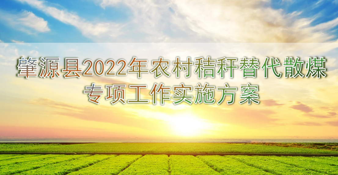 改造或新建生物质锅炉替代燃煤锅炉