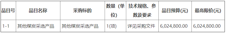 “洁净型煤+生物质”成型燃料及服务一体化采购项目