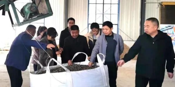 年产生物质颗粒1.5万吨的安徽省安庆市桐城市光明新能源生物质颗粒生产线项目在文昌街道大石板村开工投产