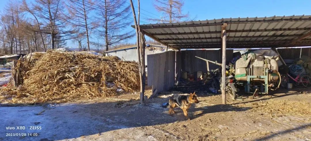 火炕火墙为主流，清洁采暖炉要解决黑龙江农村用户的哪几点需求？3