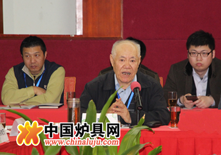 中国农村能源行业协会节能炉具专业委员会主任郝芳洲进行政策解读